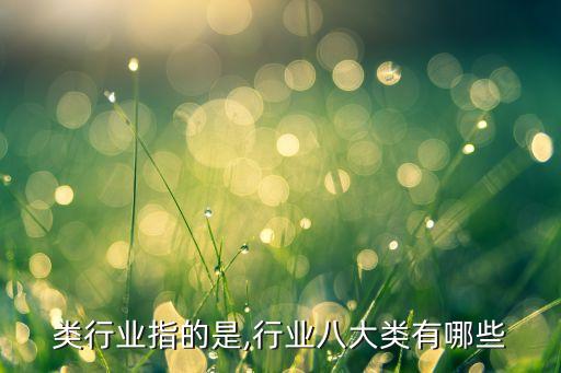 类行业指的是,行业八大类有哪些