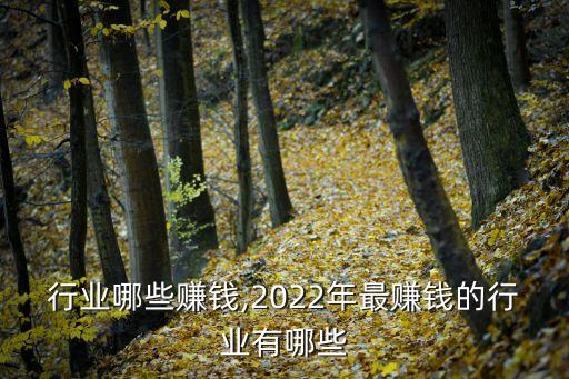 行业哪些赚钱,2022年最赚钱的行业有哪些