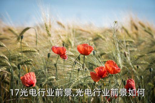 2017光电行业前景,光电行业前景如何