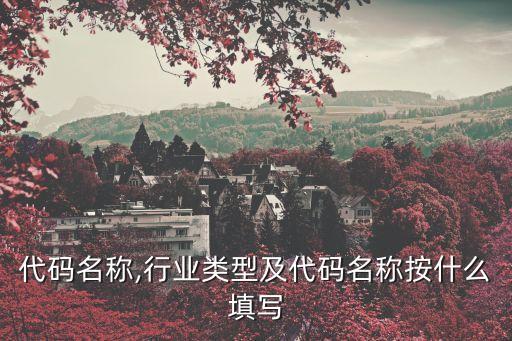 代码名称,行业类型及代码名称按什么填写