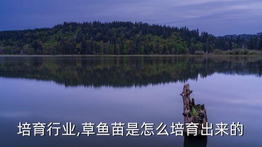 培育行业,草鱼苗是怎么培育出来的