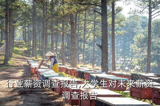 行业薪资调查报告,大学生对未来薪资调查报告