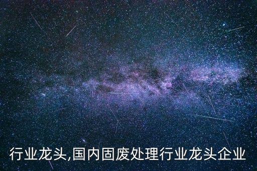 行业龙头,国内固废处理行业龙头企业