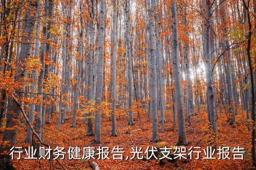 行业财务健康报告,光伏支架行业报告