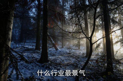 现在什么行业最景气