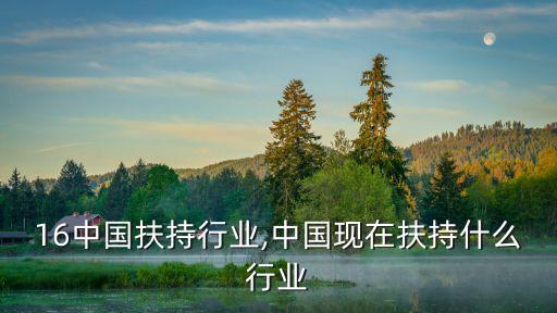 16中国扶持行业,中国现在扶持什么行业