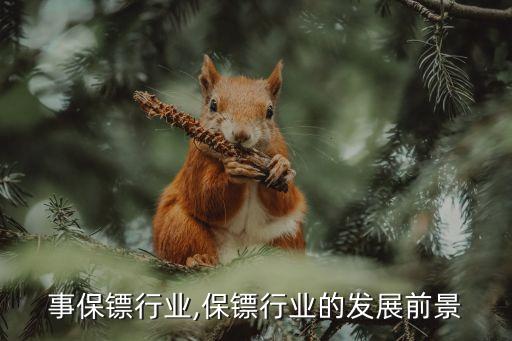 想从事保镖行业,保镖行业的发展前景