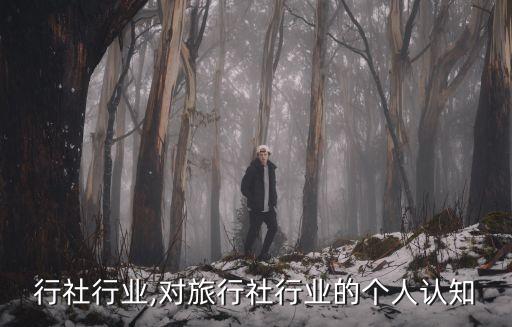 行社行业,对旅行社行业的个人认知