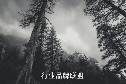 汽配行业品牌联盟