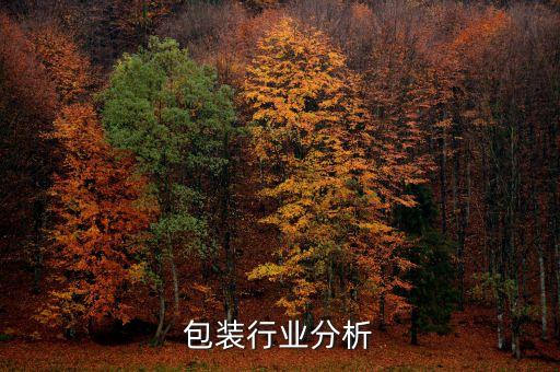 智慧包装行业分析