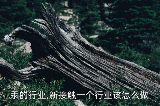 接触汞的行业,新接触一个行业该怎么做