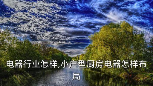 厨房电器行业怎样,小户型厨房电器怎样布局