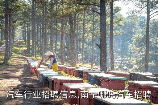 南宁汽车行业招聘信息,南宁哪吒汽车招聘