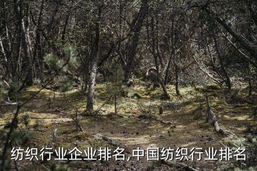 全球纺织行业企业排名,中国纺织行业排名