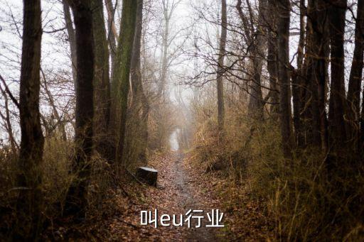 叫eu行业