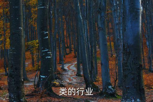 类的行业