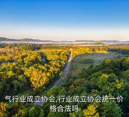 液化气行业成立协会,行业成立协会统一价格合法吗?
