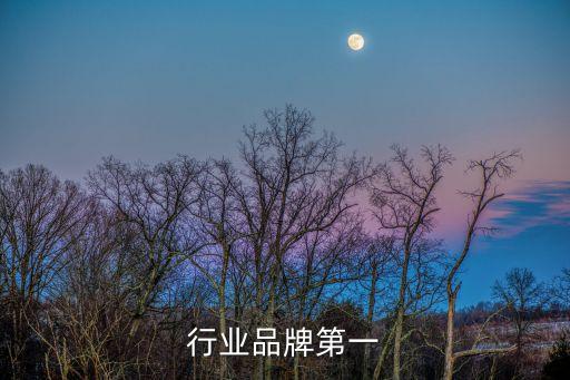 美容行业品牌第一