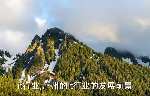 广州it行业,广州的it行业的发展前景