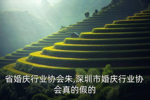 吉林省婚庆行业协会朱,深圳市婚庆行业协会真的假的