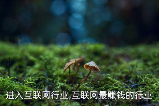 进入互联网行业,互联网最赚钱的行业
