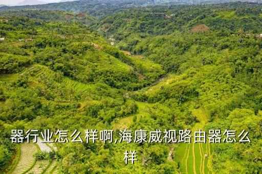 路由器行业怎么样啊,海康威视路由器怎么样