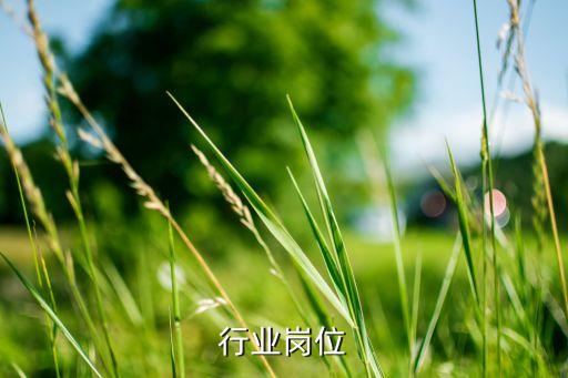 行业岗位