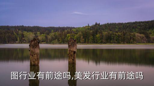 效果图行业有前途吗,美发行业有前途吗