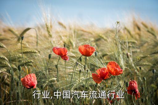 行业,中国汽车流通行业