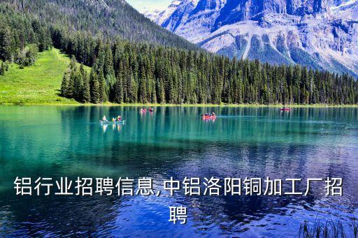 洛阳铝行业招聘信息,中铝洛阳铜加工厂招聘