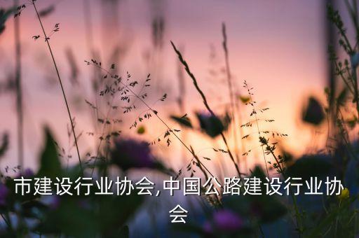 厦门市建设行业协会,中国公路建设行业协会