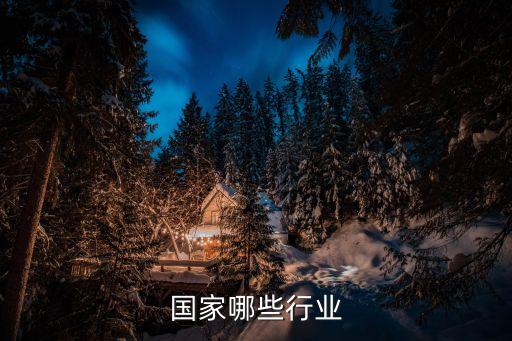 发达国家哪些行业