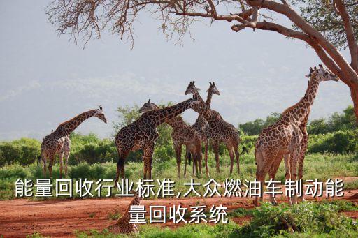 能量回收行业标准,大众燃油车制动能量回收系统