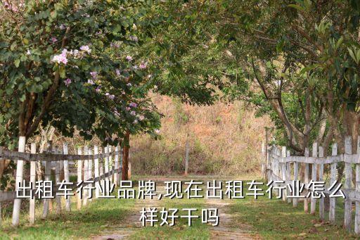 出租车行业品牌,现在出租车行业怎么样好干吗