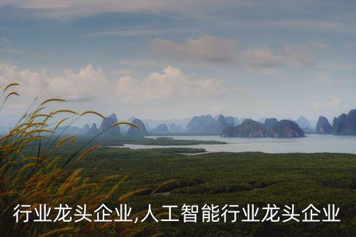 行业龙头企业,人工智能行业龙头企业