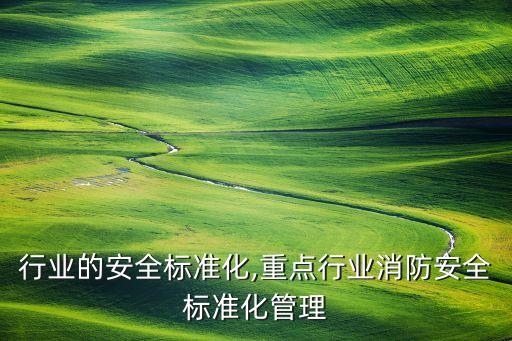 行业的安全标准化,重点行业消防安全标准化管理