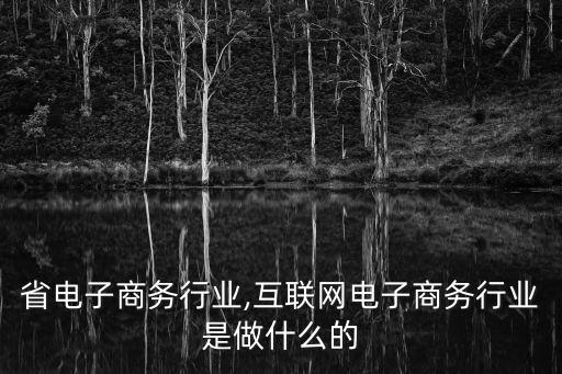 浙江省电子商务行业,互联网电子商务行业是做什么的