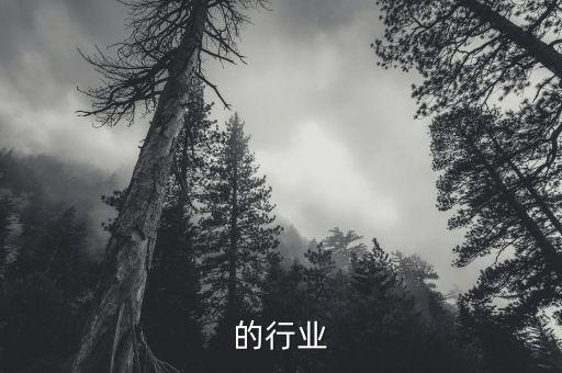 的行业