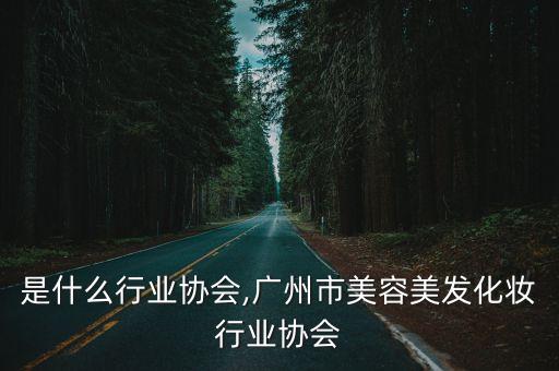 化妆是什么行业协会,广州市美容美发化妆行业协会