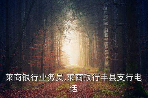 莱商银行业务员,莱商银行丰县支行电话