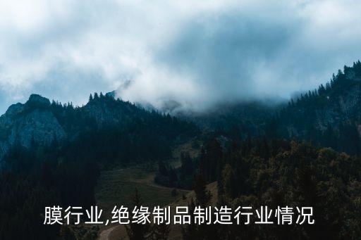 绝缘膜行业,绝缘制品制造行业情况