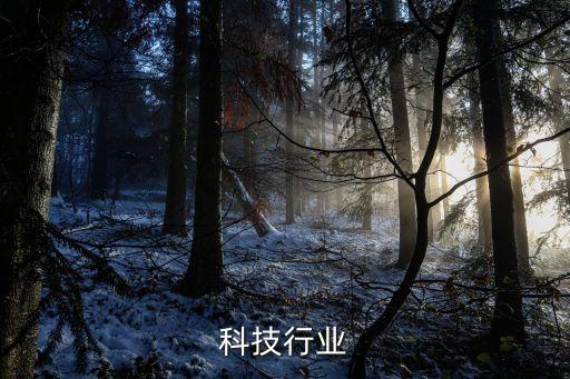 中国科技行业
