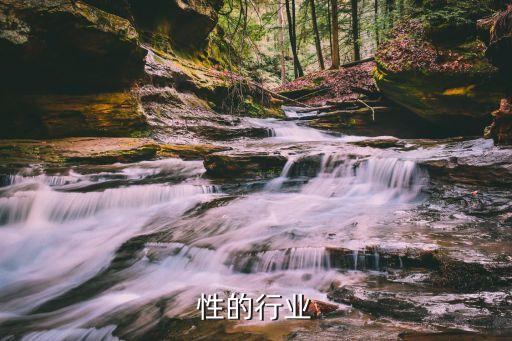 性的行业