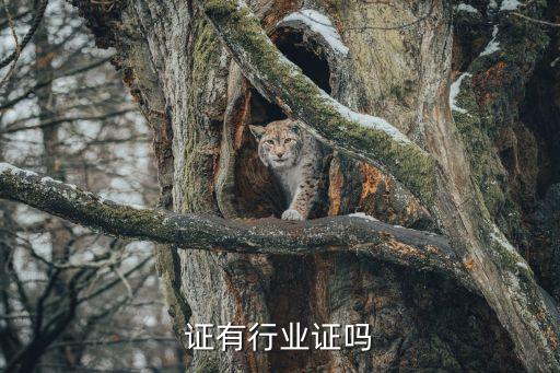 证有行业证吗