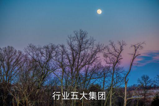 电力行业五大集团