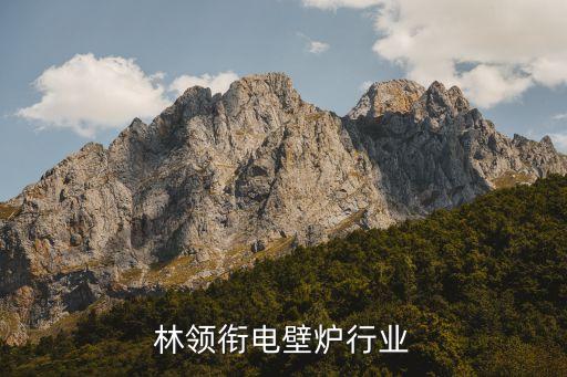 陈芳林领衔电壁炉行业