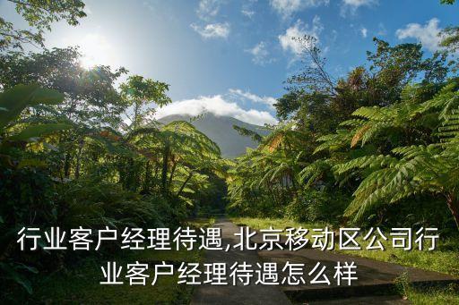 行业客户经理待遇,北京移动区公司行业客户经理待遇怎么样