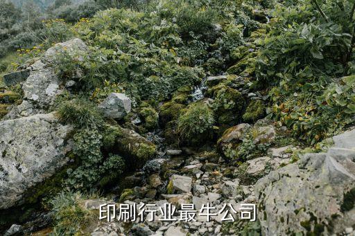 世界印刷行业最牛公司