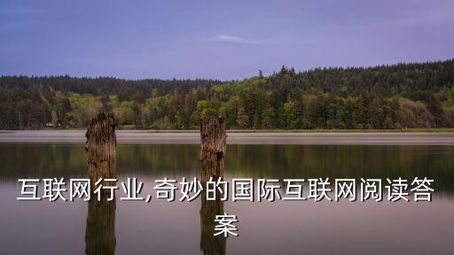 国际互联网行业,奇妙的国际互联网阅读答案