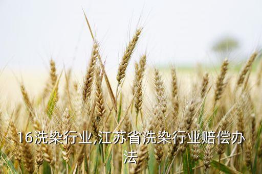 16洗染行业,江苏省洗染行业赔偿办法